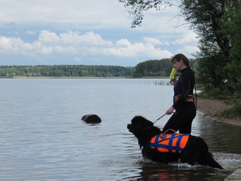 Фотография № 208529