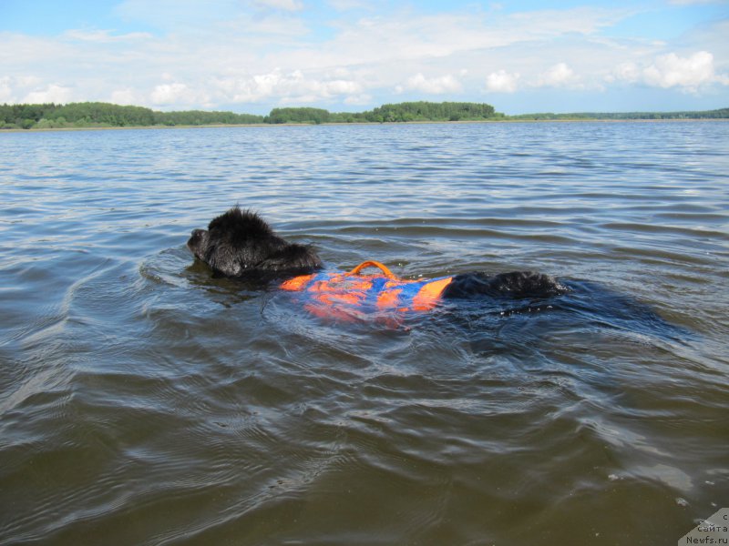 Фотография № 208530