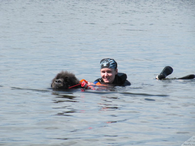 Фотография № 208531