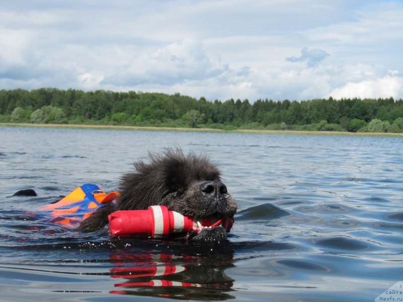 Фотография № 208534