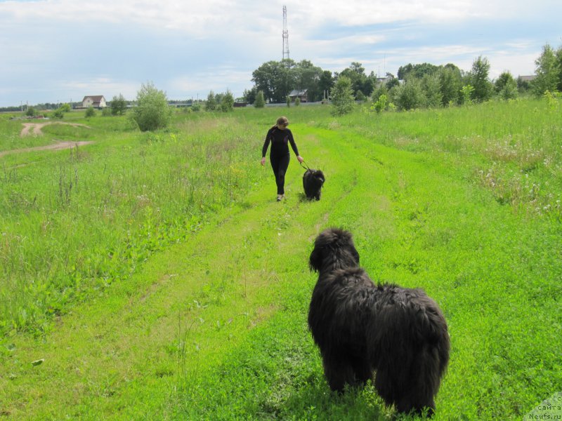 Фотография № 208535