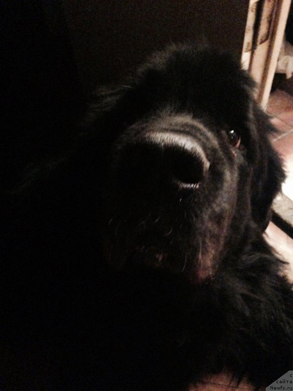 Фото: Сергей Зинин