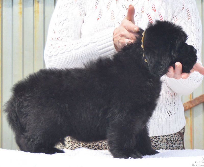 Фотография № 208553