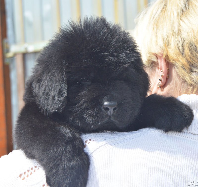 Фотография № 208576