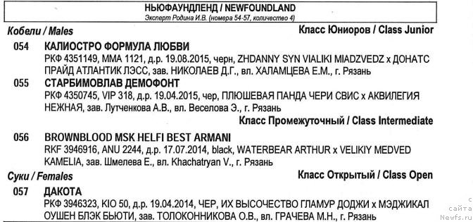 Фотография № 208581