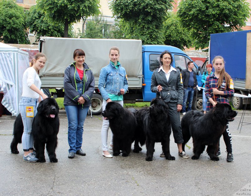 Фотография № 208583