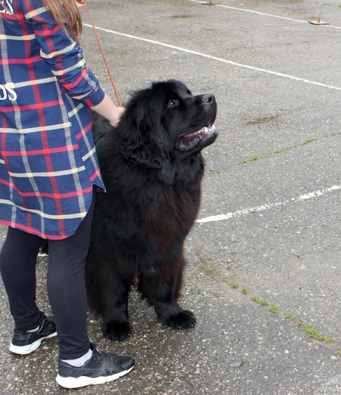 Фотография № 208585