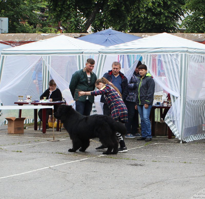 Фотография № 208588