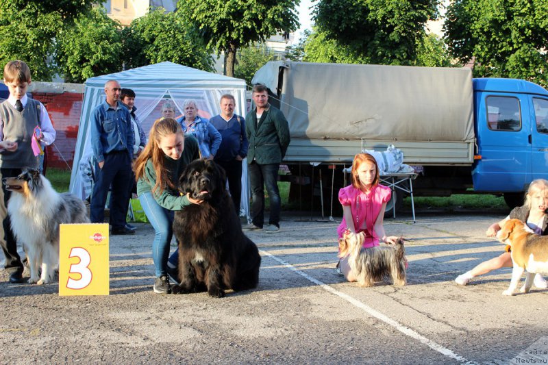 Фотография № 208589