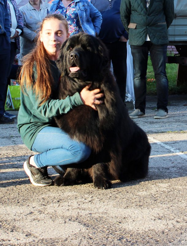 Фотография № 208590