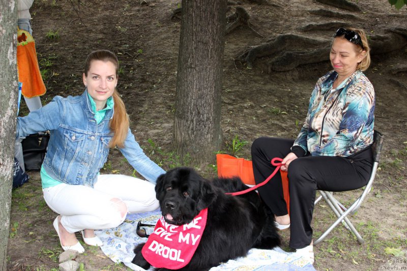 Фотография № 208591