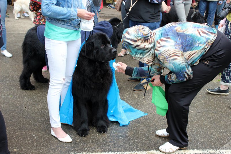 Фотография № 208592