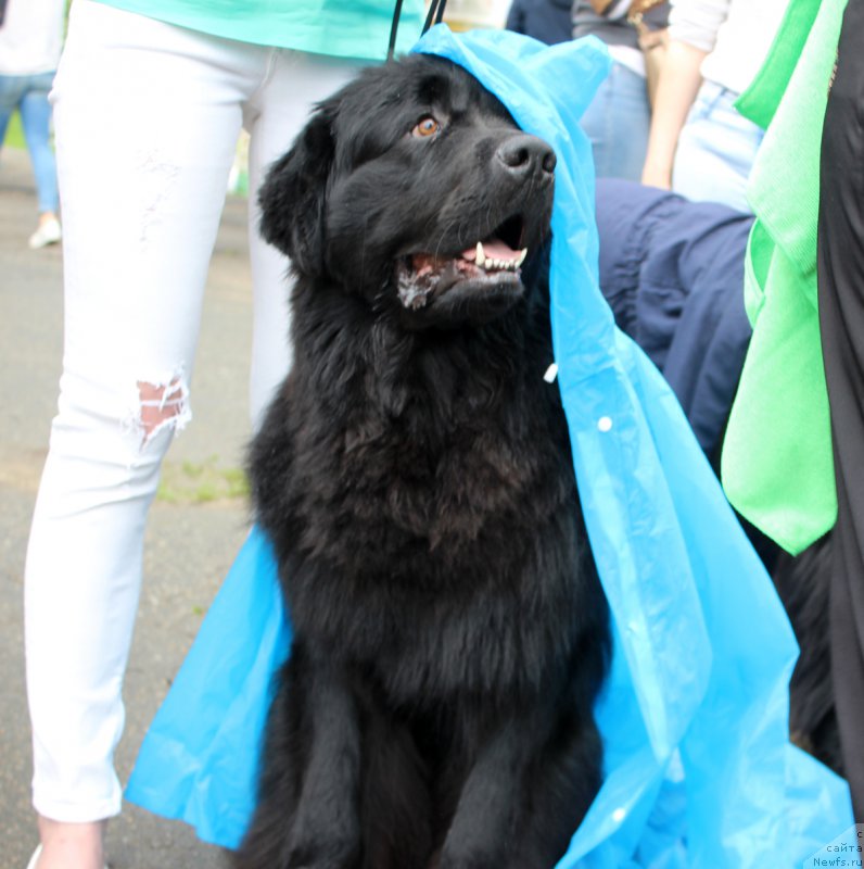 Фотография № 208593