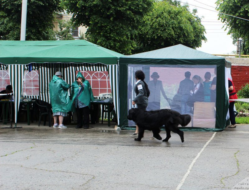 Фотография № 208602