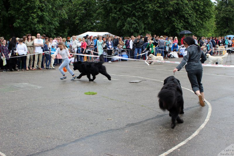 Фотография № 208608