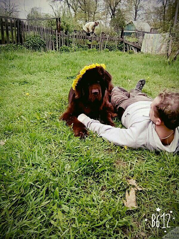 Фотография № 208634