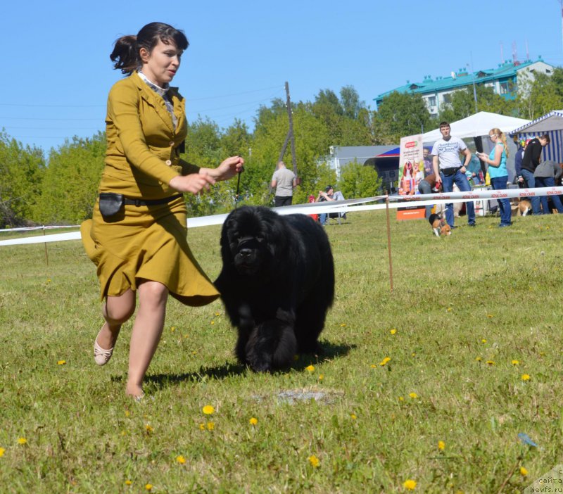 Фотография № 208636