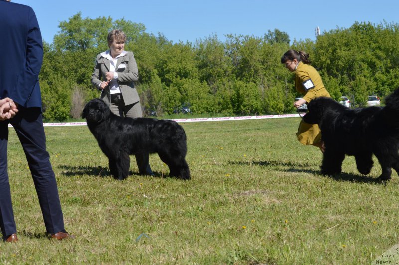 Фотография № 208637