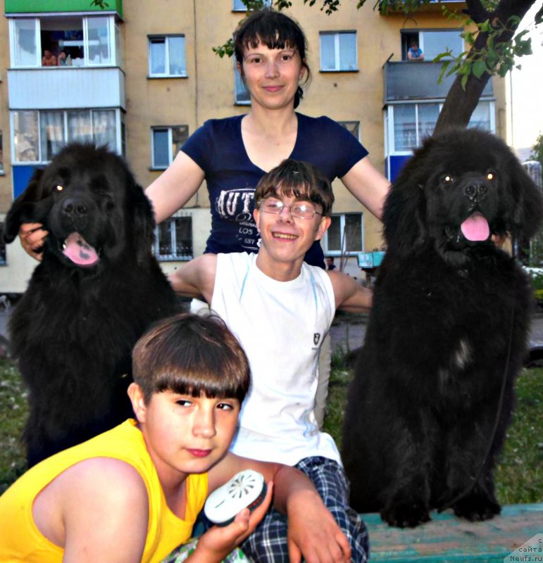 Фотография № 208657