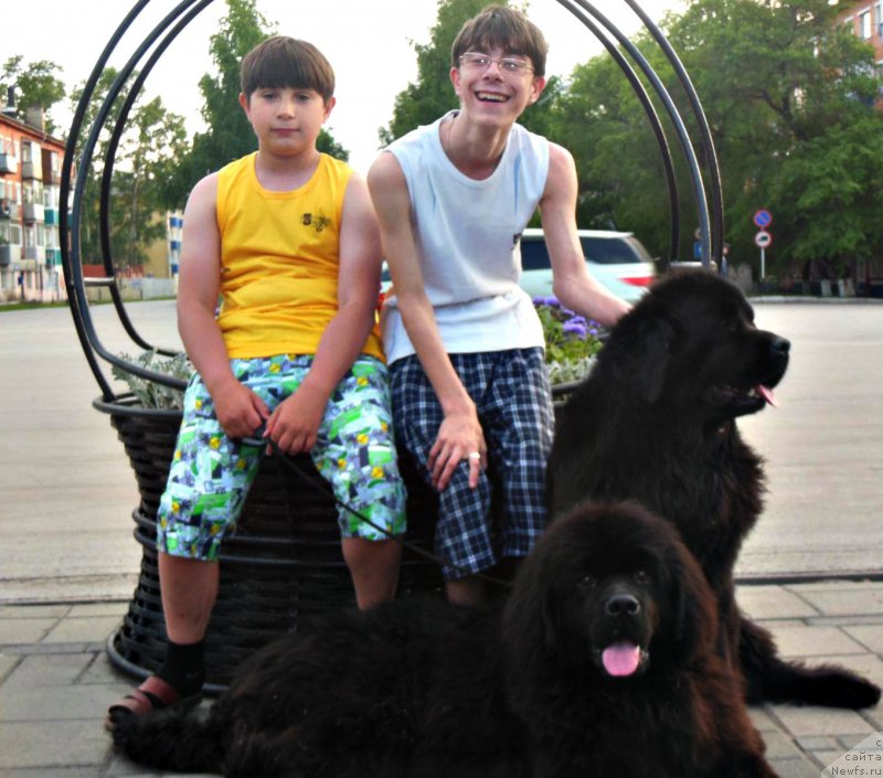 Фотография № 208658