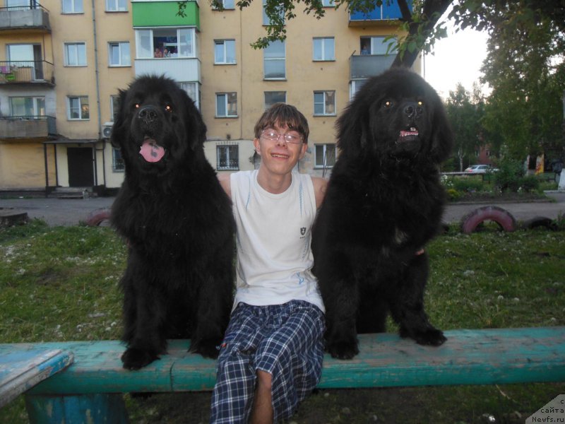 Фотография № 208659