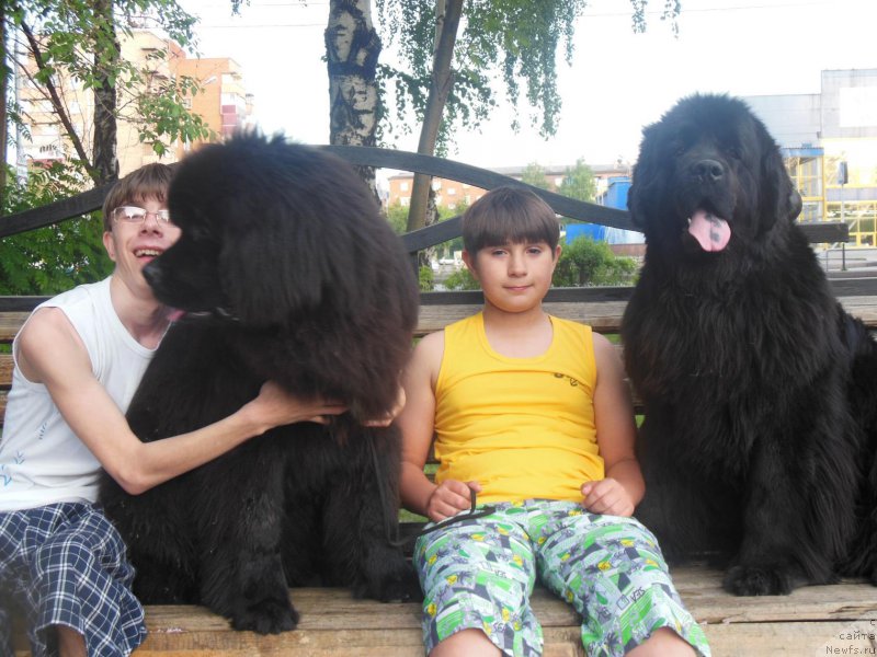 Фотография № 208660