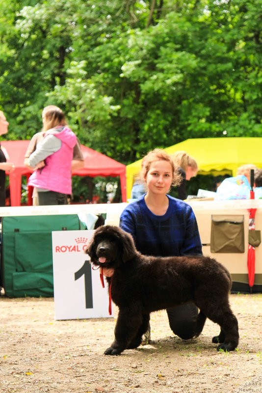 Фотография № 208669