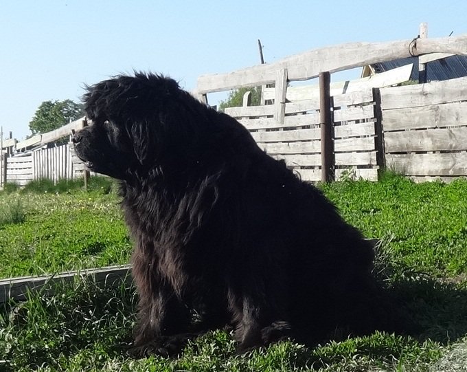 Фотография № 208675