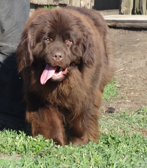 Фотография № 208676