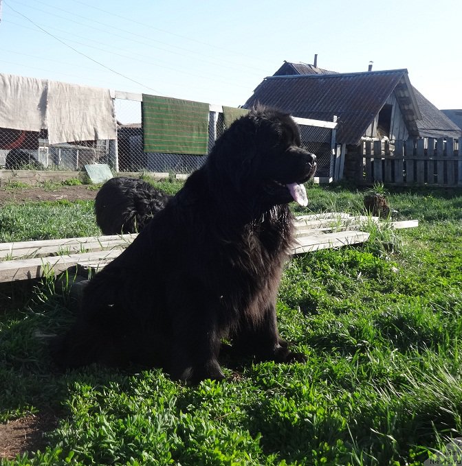 Фотография № 208677