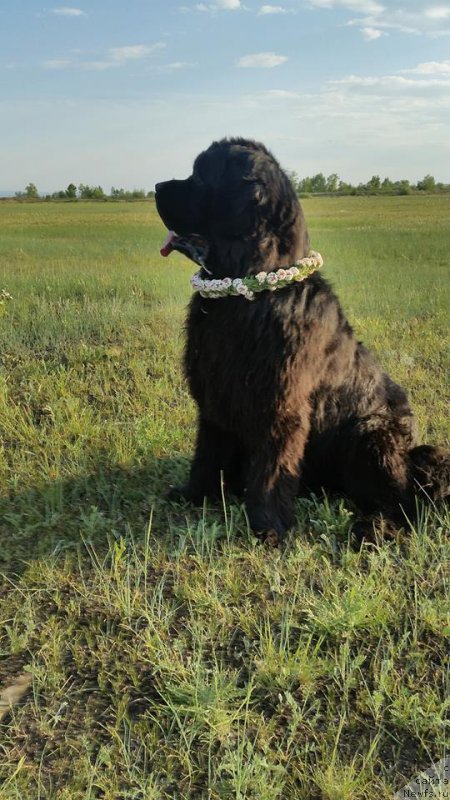 Фотография № 208689