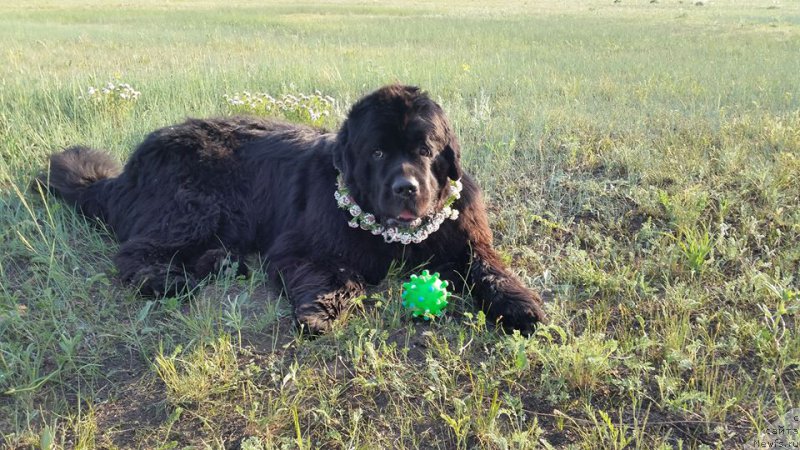 Фотография № 208691