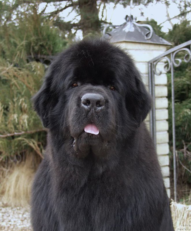 Фотография № 208693