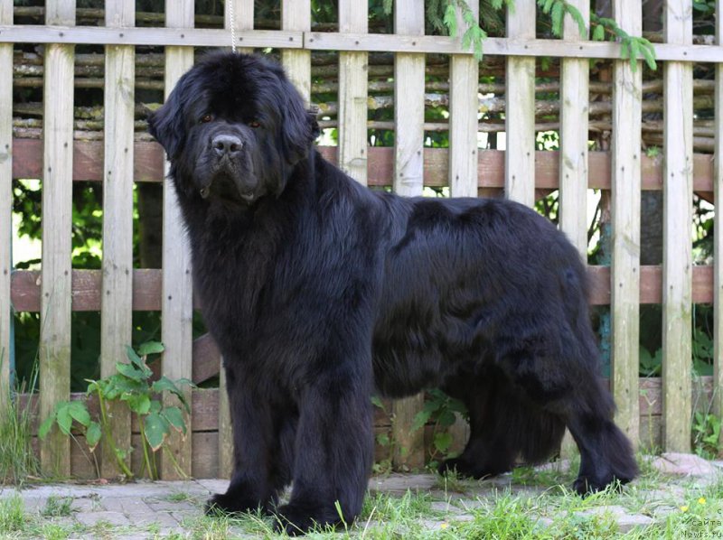 Фотография № 208694