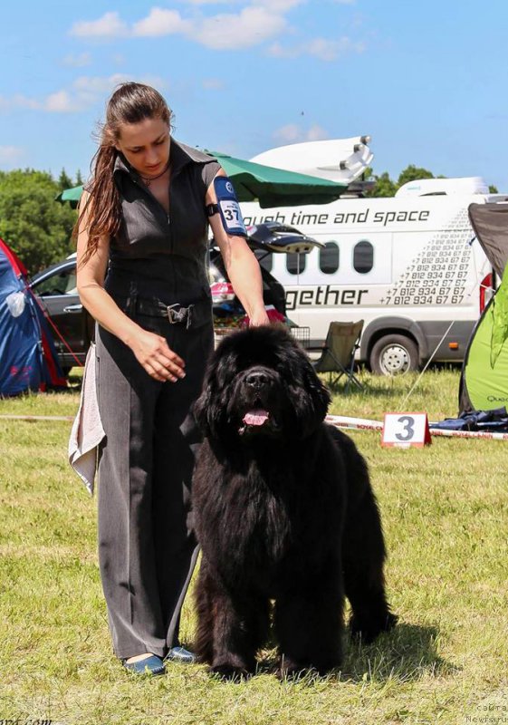 Фотография № 208707