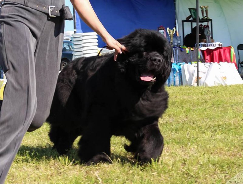 Фотография № 208708