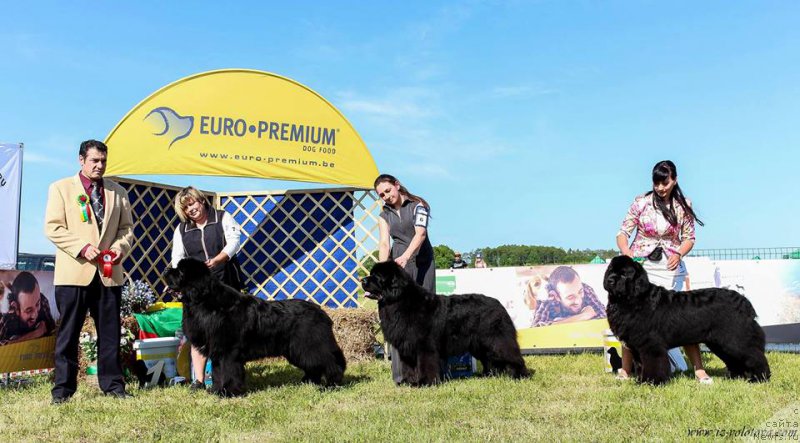 Фотография № 208710