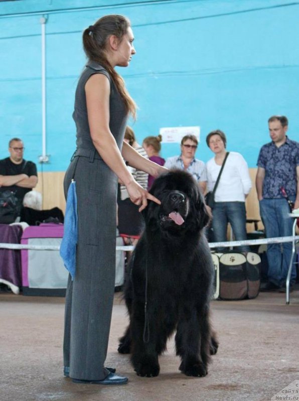 Фотография № 208714