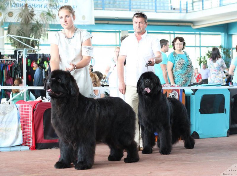 Фото: Joyeux Rodger iz Volotova [p1388], Виктор Хрищанович