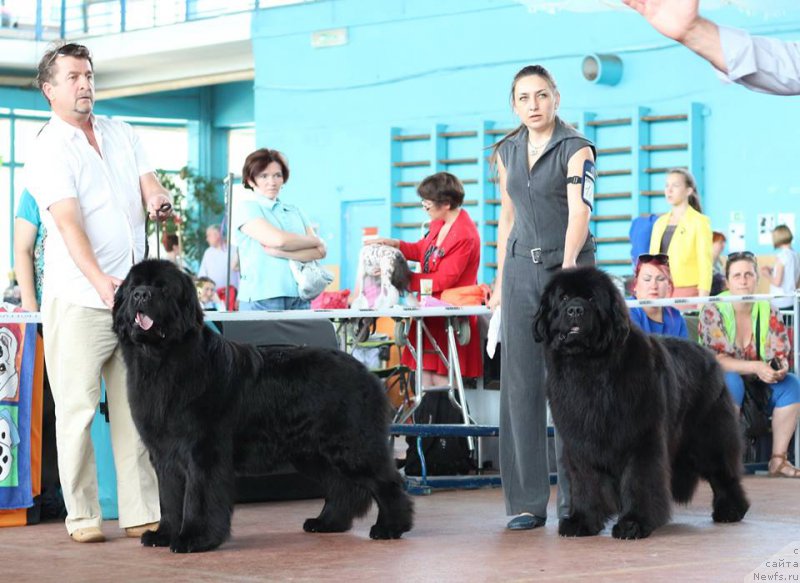 Фото: Joyeux Rodger iz Volotova [p1388], Виктор Хрищанович