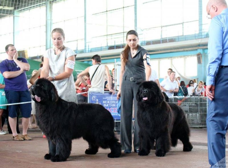 Фотография № 208718