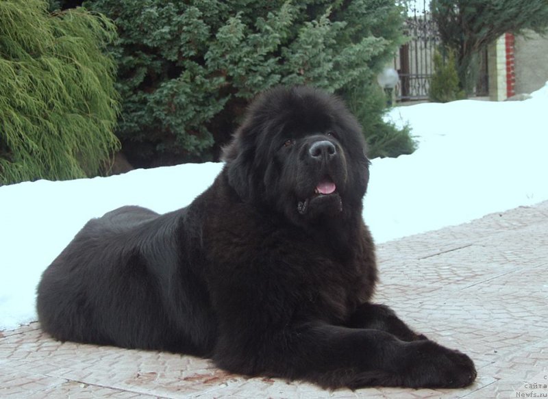 Фотография № 208733