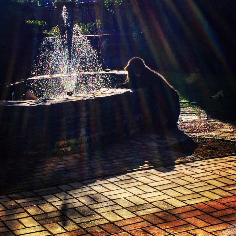 Фотография № 208734