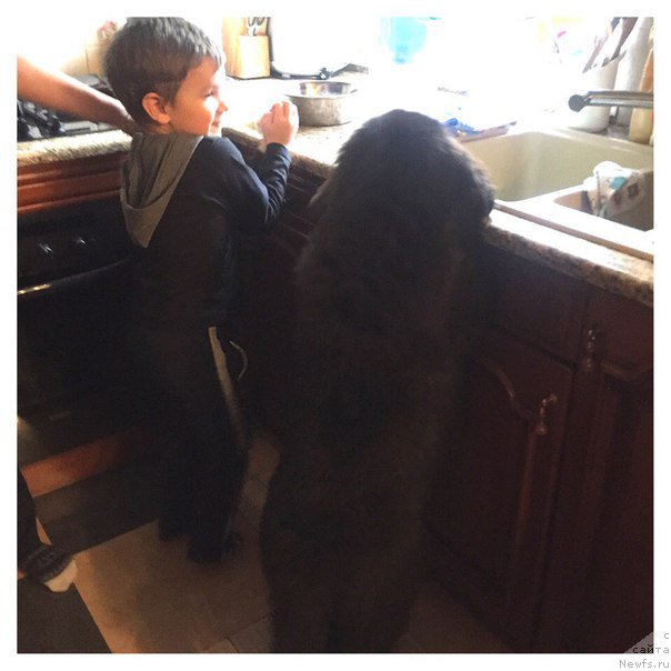 Фотография № 208736