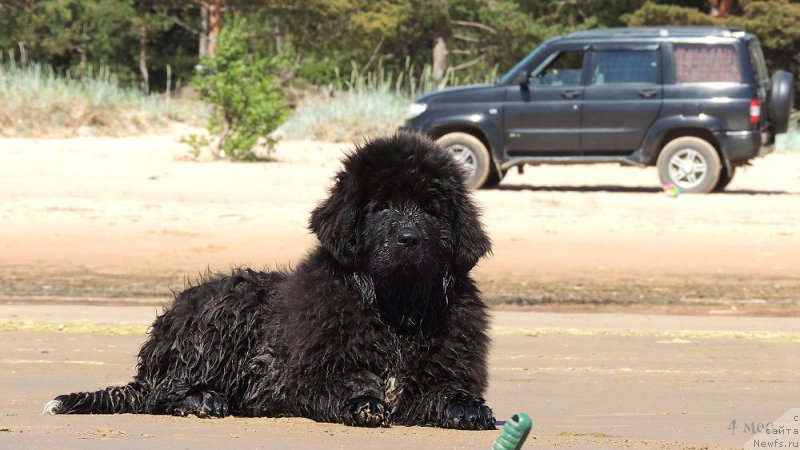 Фотография № 208737