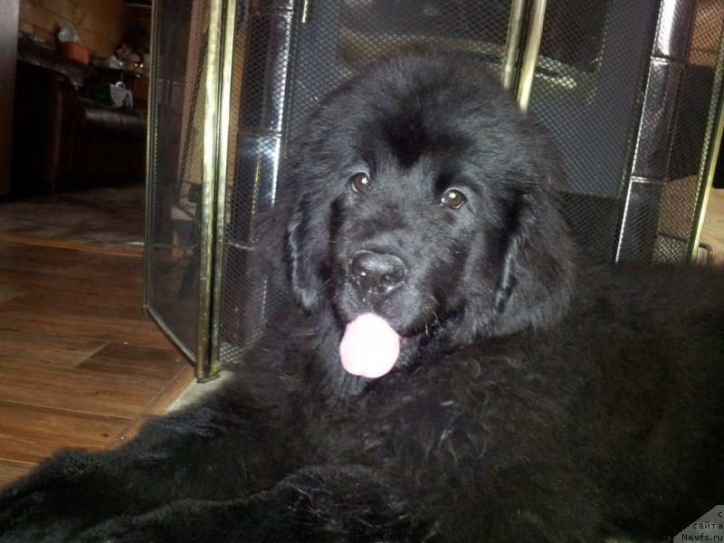 Фотография № 208741