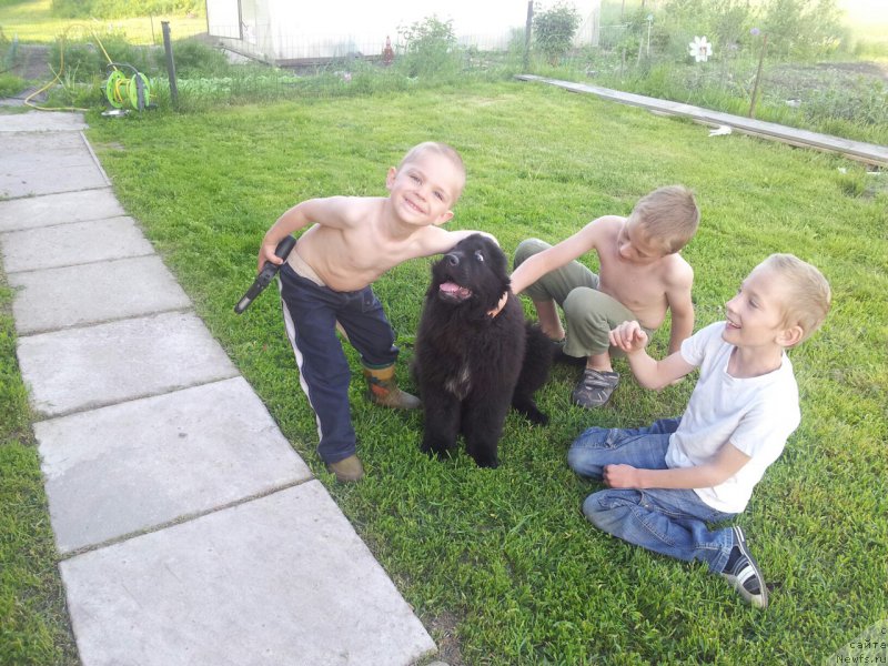 Фотография № 208742