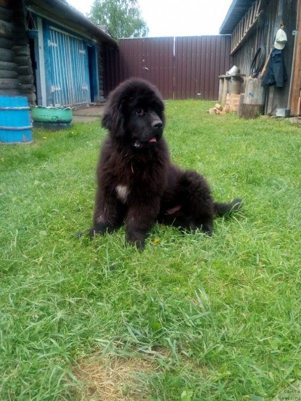 Фотография № 208744