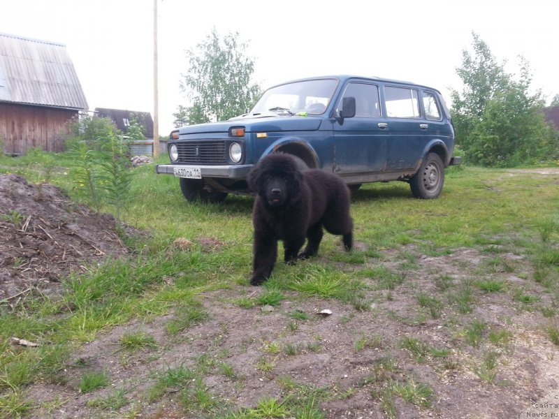 Фотография № 208747