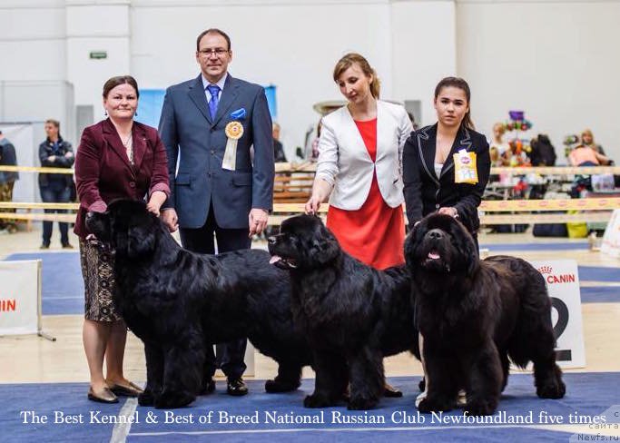 Фотография № 208752